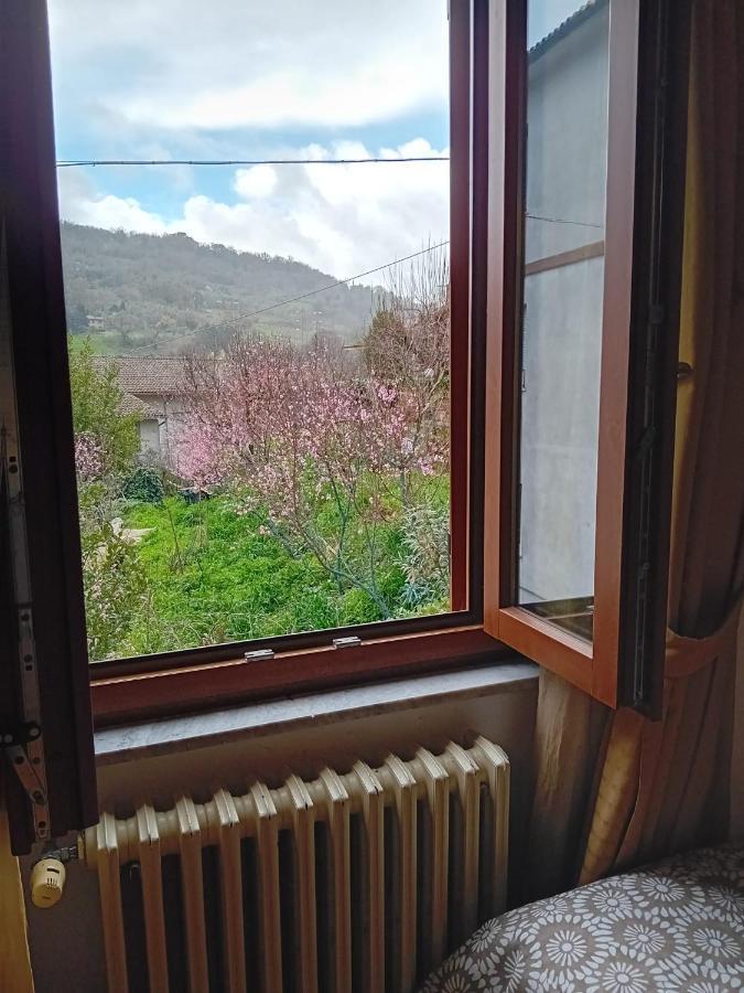 Hotel Picchio Орвието Экстерьер фото